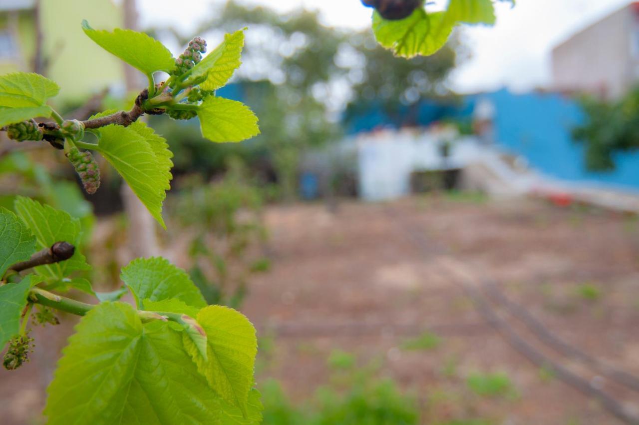La Huerta De Manuel Villa Tejina Bagian luar foto